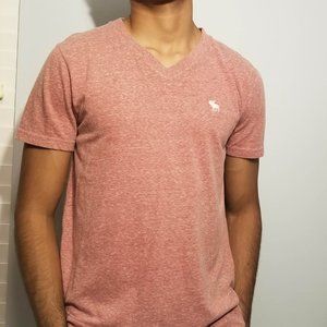 Abercrombie & Fitch short-sleeve icon v-neck tee